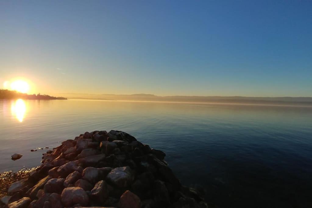 Lakefront. Appartement Pieds Dans L'Eau. View And Direct Access To The Lake. Anthy-sur-Leman Exteriör bild
