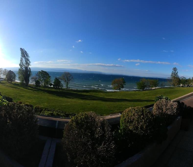 Lakefront. Appartement Pieds Dans L'Eau. View And Direct Access To The Lake. Anthy-sur-Leman Exteriör bild