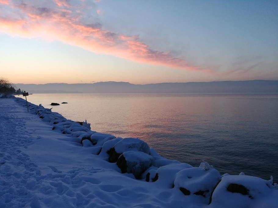 Lakefront. Appartement Pieds Dans L'Eau. View And Direct Access To The Lake. Anthy-sur-Leman Exteriör bild