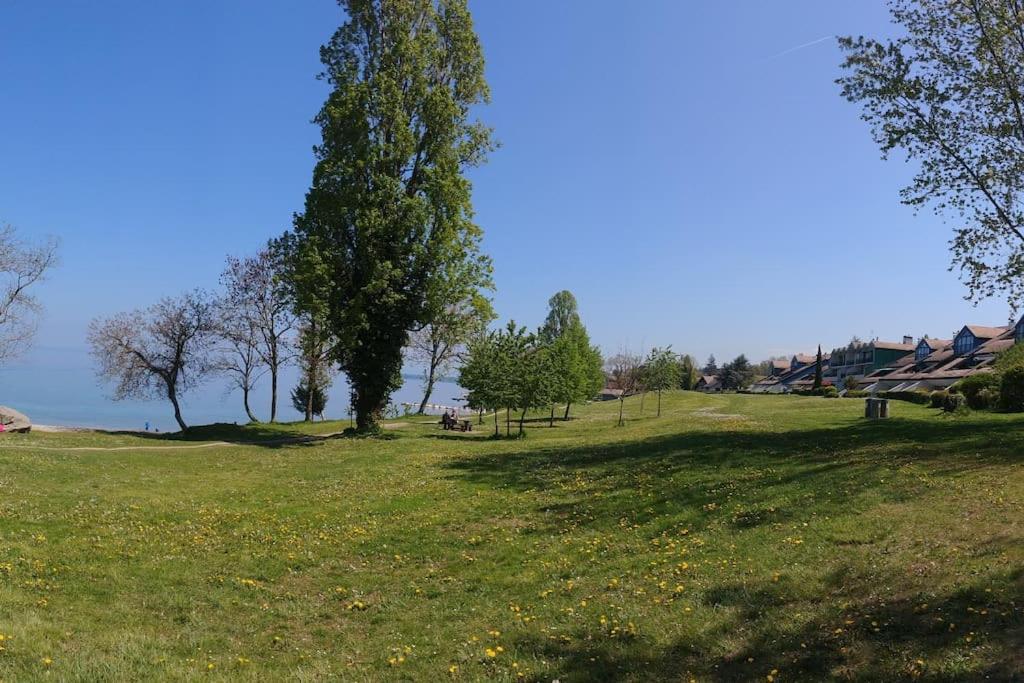 Lakefront. Appartement Pieds Dans L'Eau. View And Direct Access To The Lake. Anthy-sur-Leman Exteriör bild