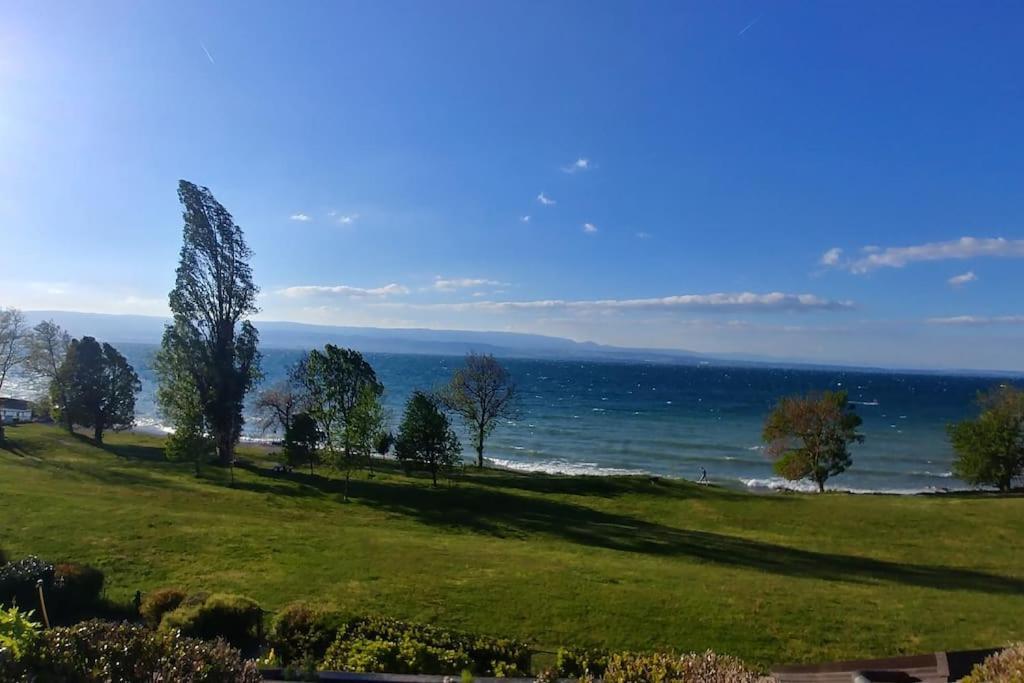 Lakefront. Appartement Pieds Dans L'Eau. View And Direct Access To The Lake. Anthy-sur-Leman Exteriör bild
