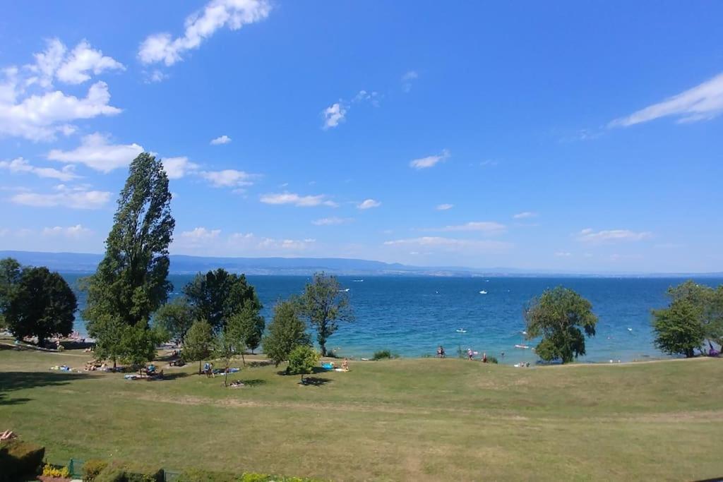 Lakefront. Appartement Pieds Dans L'Eau. View And Direct Access To The Lake. Anthy-sur-Leman Exteriör bild