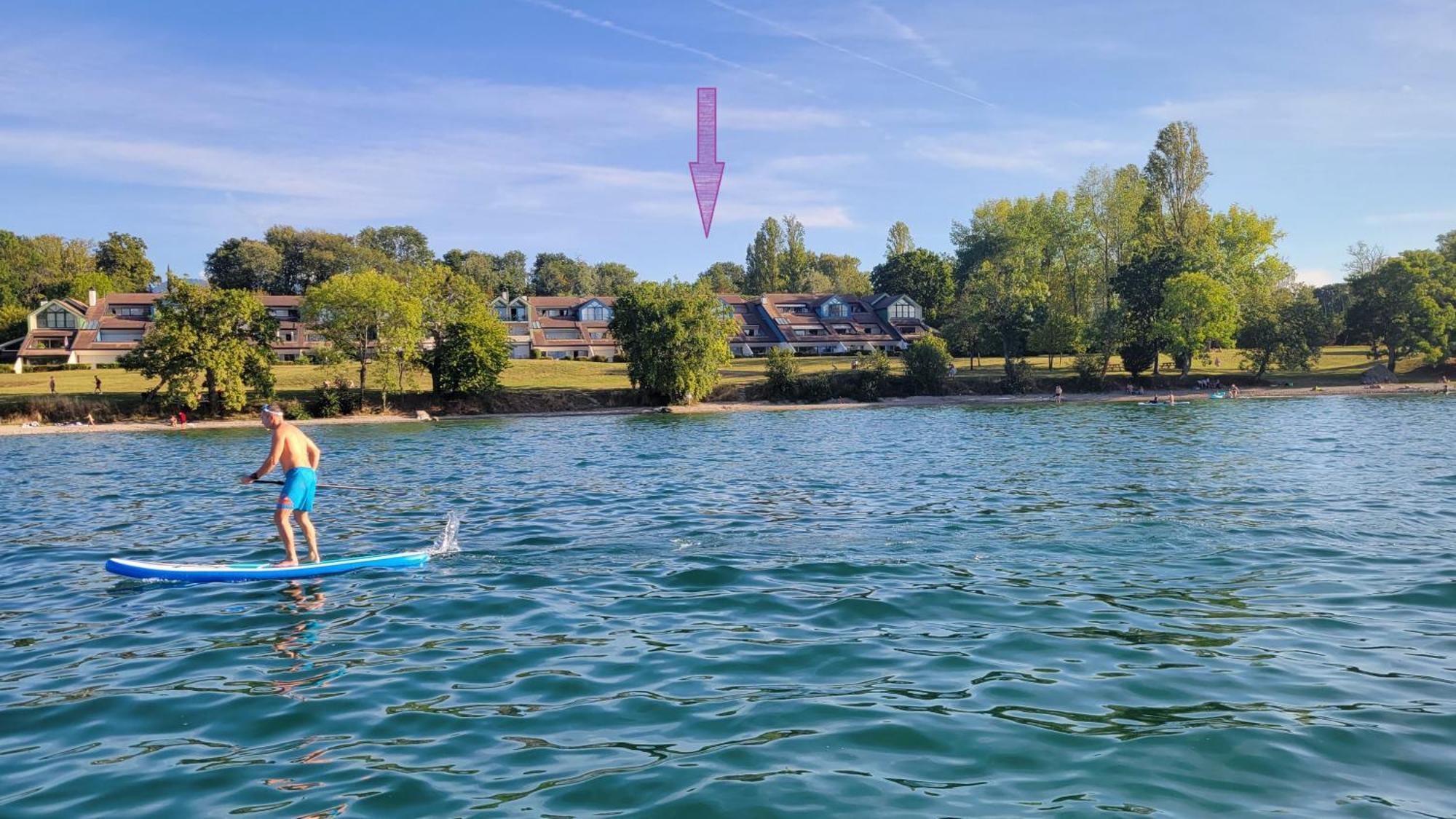 Lakefront. Appartement Pieds Dans L'Eau. View And Direct Access To The Lake. Anthy-sur-Leman Exteriör bild